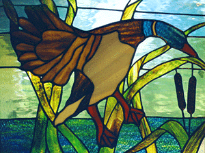 Detail of the Incoming Duck